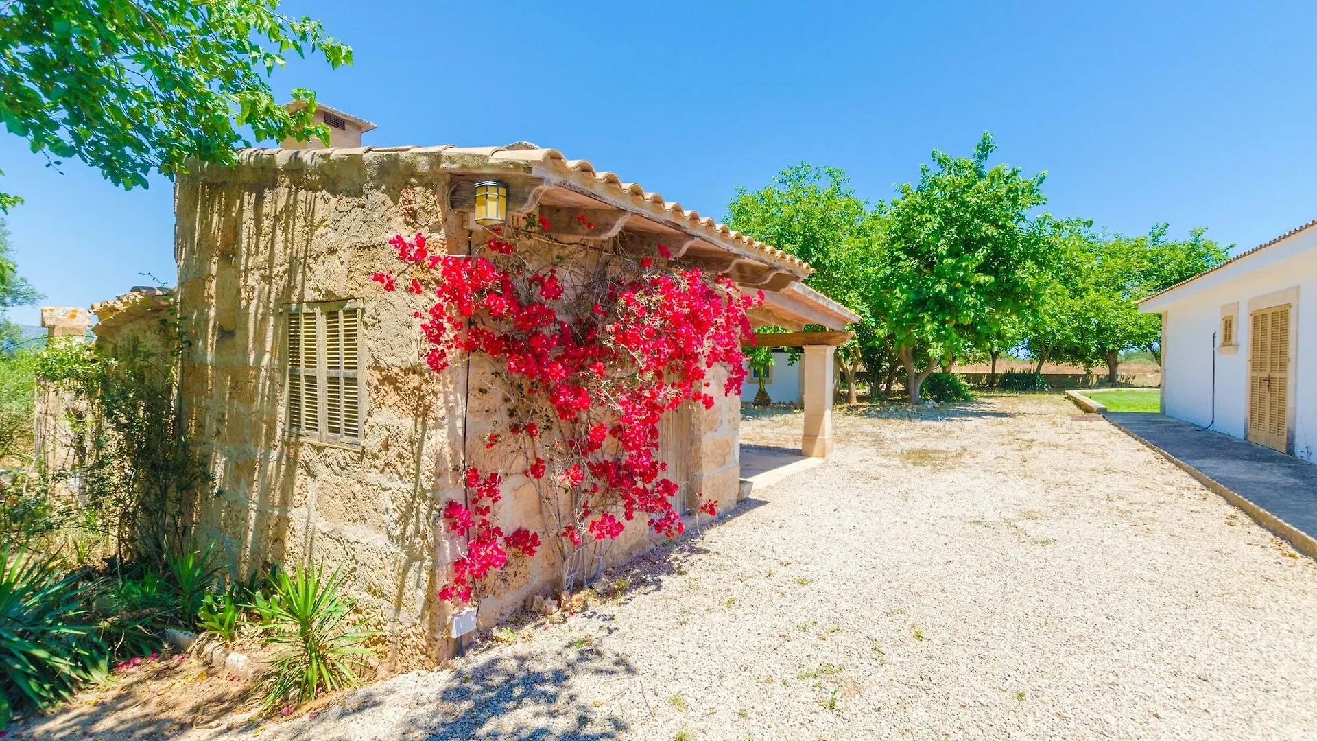 Es Moli  Villa Muro